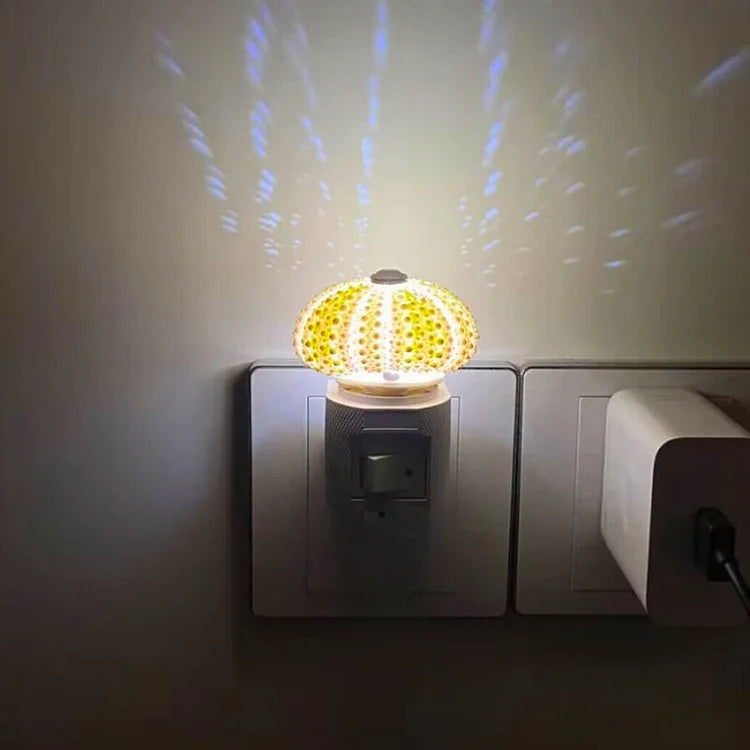 DIY Seeigel-Nachtlicht