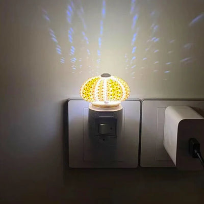 DIY Seeigel-Nachtlicht